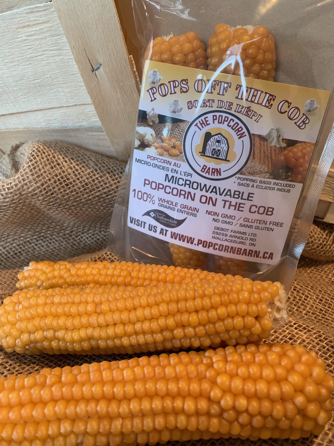 2 Pack Popcorn on the Cob - The Popcorn Barn